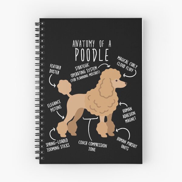 Item preview, Apricot Poodle Dog Anatomy designed and sold by Clara Hollins.