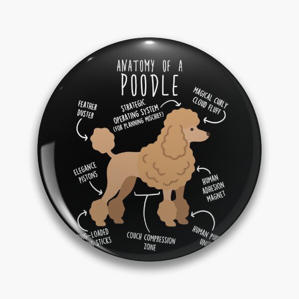 Item preview, Apricot Poodle Dog Anatomy designed and sold by Clara Hollins.