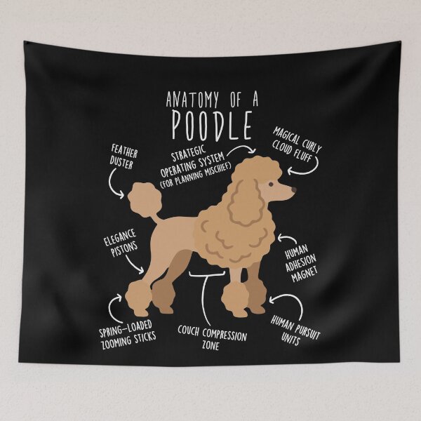 Item preview, Apricot Poodle Dog Anatomy designed and sold by Clara Hollins.