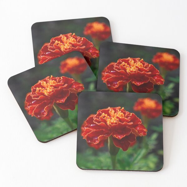 Item preview, Dewy Marigold 1x1 designed and sold by PhotoArtbyGrace.
