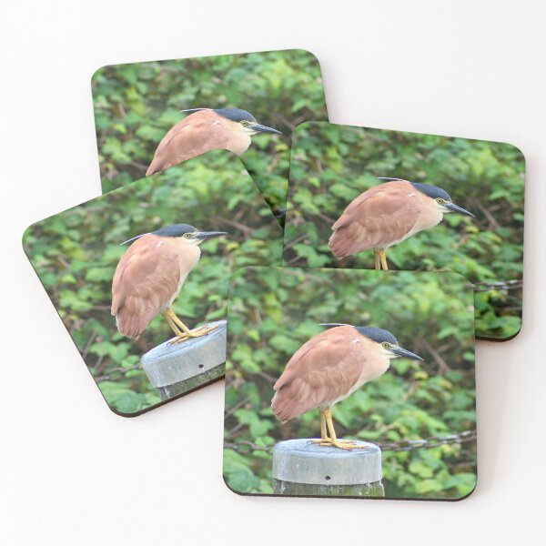 Item preview, Australian nankeen night heron designed and sold by FranWest.