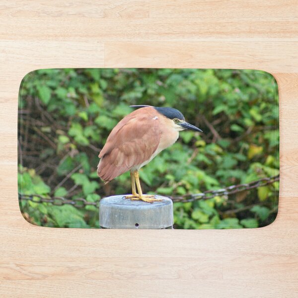 Item preview, Australian nankeen night heron designed and sold by FranWest.