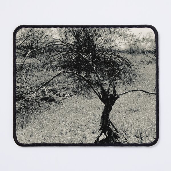 Item preview, Black and White Arizona Mystical Tree designed and sold by meganlaub1.
