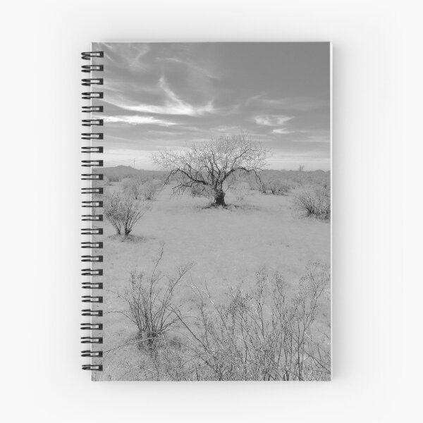 Item preview, Black and White Desert Trees and Arizona Sun designed and sold by meganlaub1.
