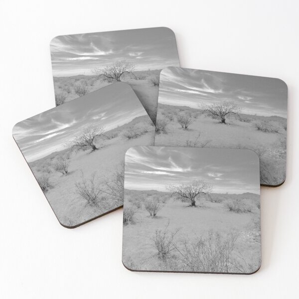 Item preview, Black and White Desert Trees and Arizona Sun designed and sold by meganlaub1.