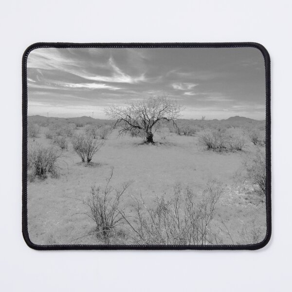 Item preview, Black and White Desert Trees and Arizona Sun designed and sold by meganlaub1.