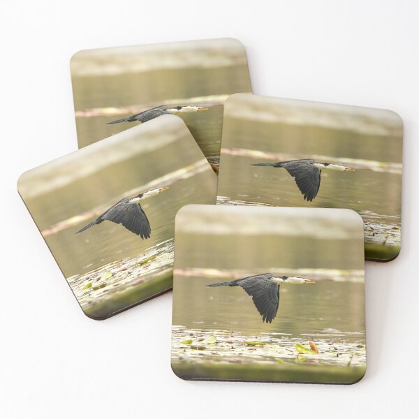 Item preview, Little Pied Cormorant designed and sold by robdanimalphotography.