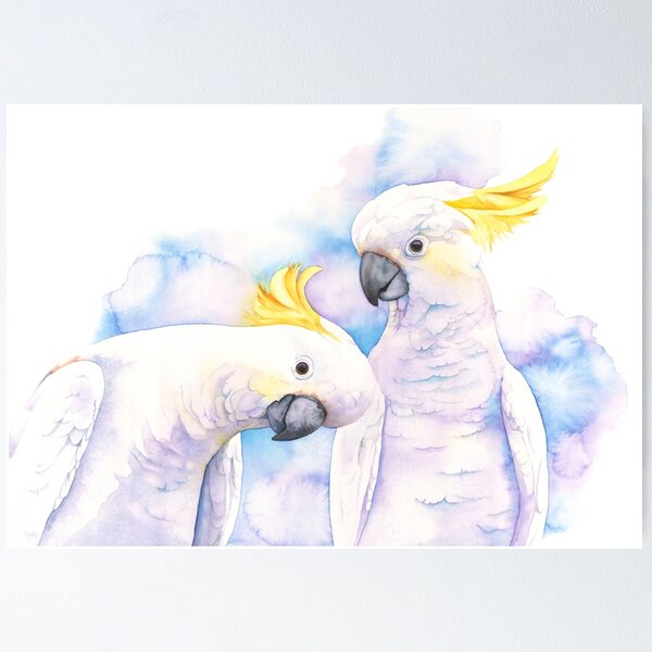 Cockatoos Poster