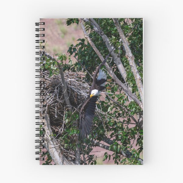 Item preview, Diving Down designed and sold by DawsonImages.