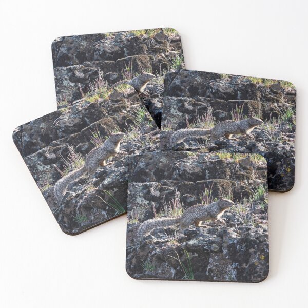 Item preview, Western Gray Squirrel designed and sold by DawsonImages.