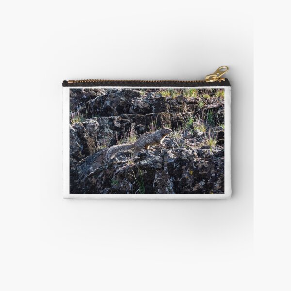 Item preview, Western Gray Squirrel designed and sold by DawsonImages.