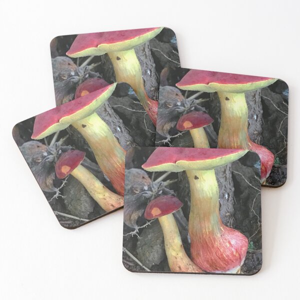 Item preview, Scientific Tottenham Hotspur Fc bMushroom Study designed and sold by Mitchmount.