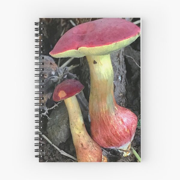 Item preview, Scientific Tottenham Hotspur Fc bMushroom Study designed and sold by Mitchmount.