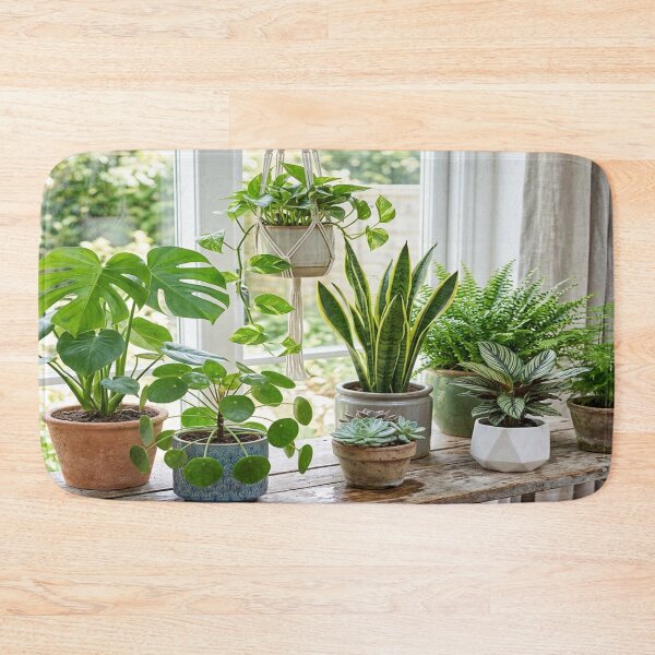 Item preview, A beautiful collection of potted houseplants designed and sold by Solomon-Ent-144.