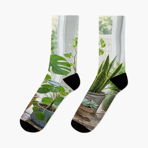 Item preview, A beautiful collection of potted houseplants designed and sold by Solomon-Ent-144.