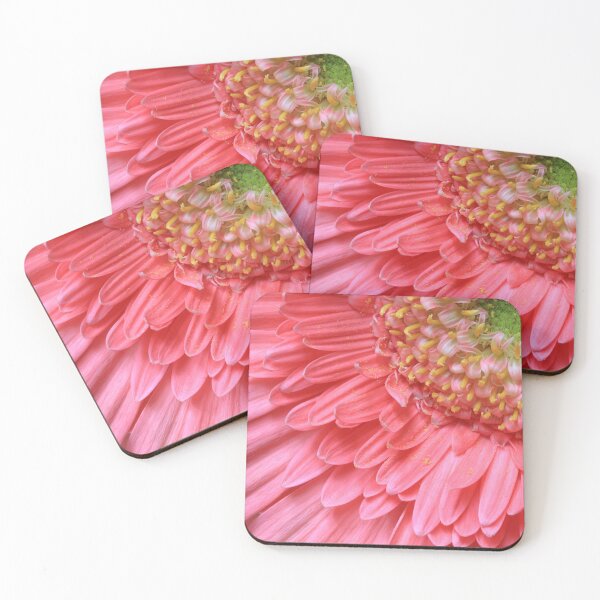 Item preview, Pink Gerbera close up designed and sold by Rachel Elizabeth Photography.