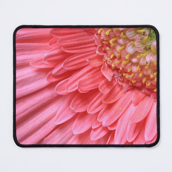 Item preview, Pink Gerbera close up designed and sold by Rachel Elizabeth Photography.