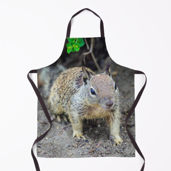 Item preview, Ground Squirrel Close Up | Small Wildlife Photography designed and sold by TheHikersEye.