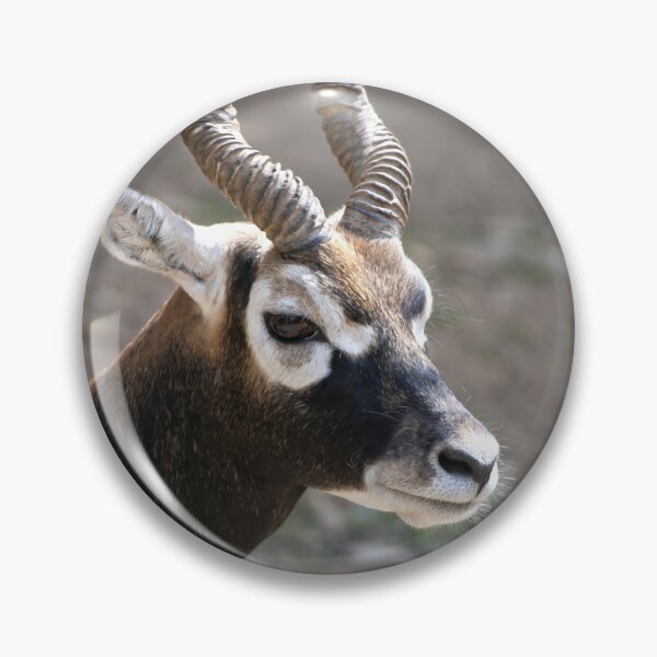 Item preview, Blackbuck Antelope Painterly Portrait designed and sold by Vac1.