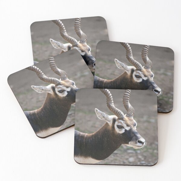 Item preview, Blackbuck Antelope Painterly Portrait designed and sold by Vac1.