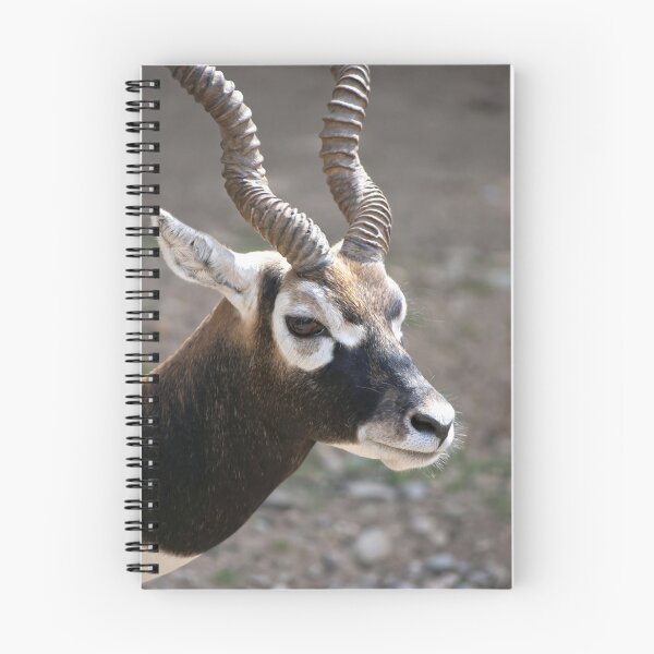 Item preview, Blackbuck Antelope Painterly Portrait designed and sold by Vac1.