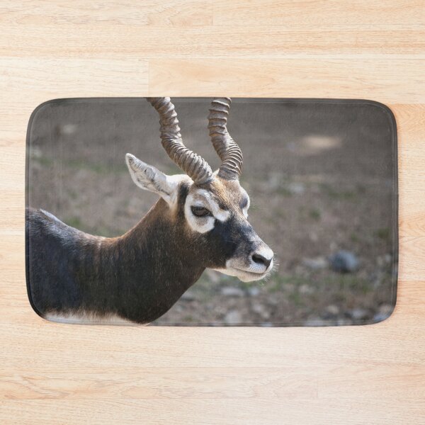 Item preview, Blackbuck Antelope Painterly Portrait designed and sold by Vac1.