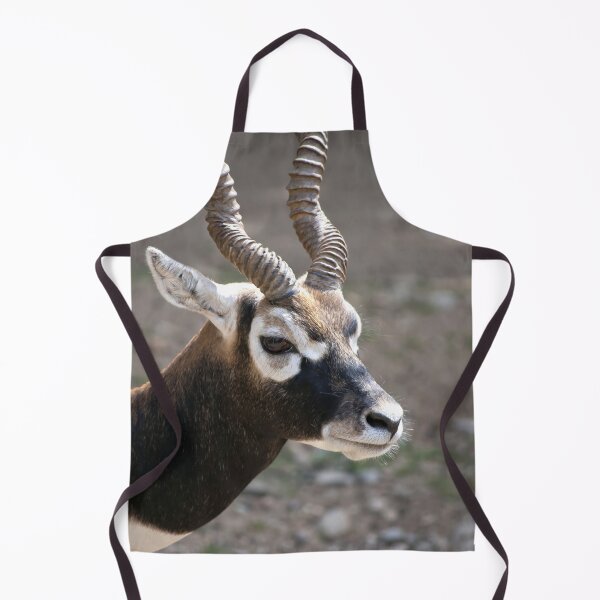 Item preview, Blackbuck Antelope Painterly Portrait designed and sold by Vac1.