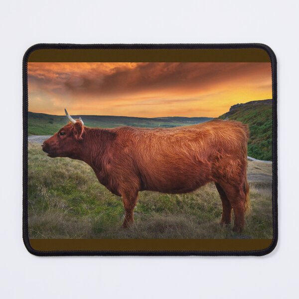 Item preview, Burbage Edge Cow designed and sold by Alisonchambers2.