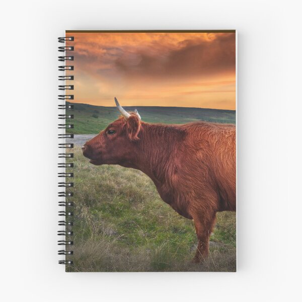 Item preview, Burbage Edge Cow designed and sold by Alisonchambers2.
