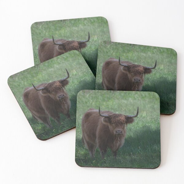 Item preview, Highland Cattle designed and sold by iwhstudio.