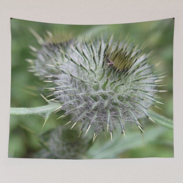 Item preview, Photo macro shot thistle designed and sold by PM-Artistic.