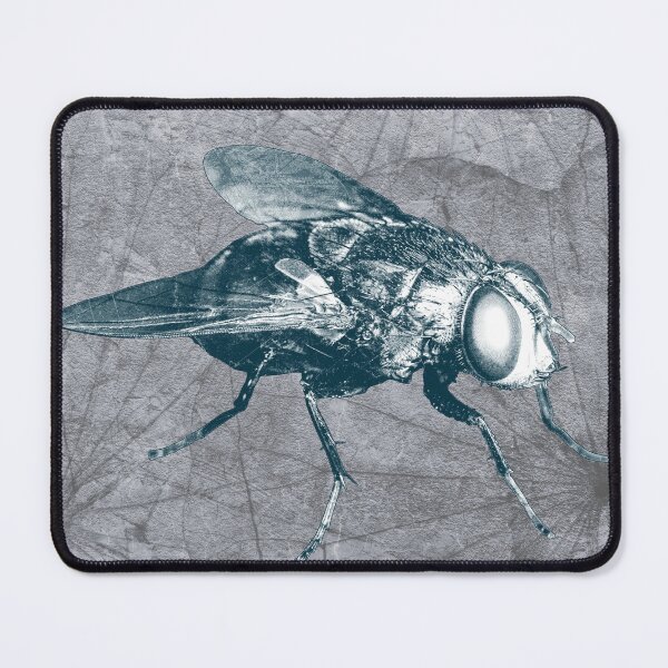 Item preview, Blue Bottle Fly Dark Macro Entomology Specimen designed and sold by Ghoul Enterprises.