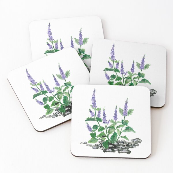 Item preview, June 20th birthday flower Speedwell designed and sold by 366birthflower.