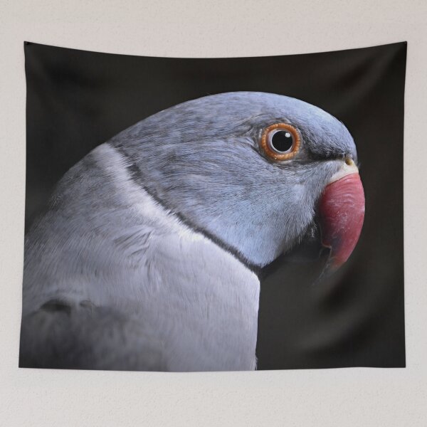 Item preview, Arizona designed and sold by Krameri Creations.