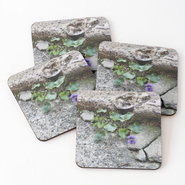 Item preview, Common Blue Violet Growing from a Broken Sidewalk designed and sold by concretebotany.