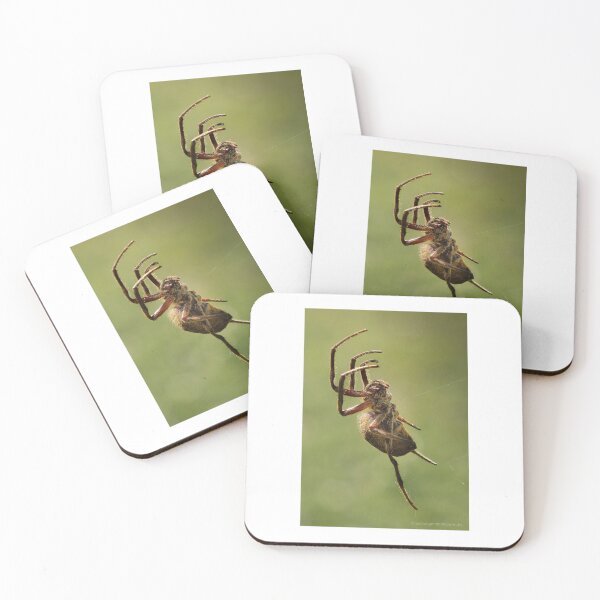 Item preview, Spider designed and sold by iwhstudio.