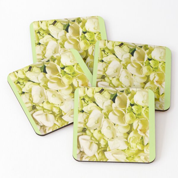 Item preview, Dense Cluster of Creamy White Hydrangea Blossoms designed and sold by BalkanBloomArt.