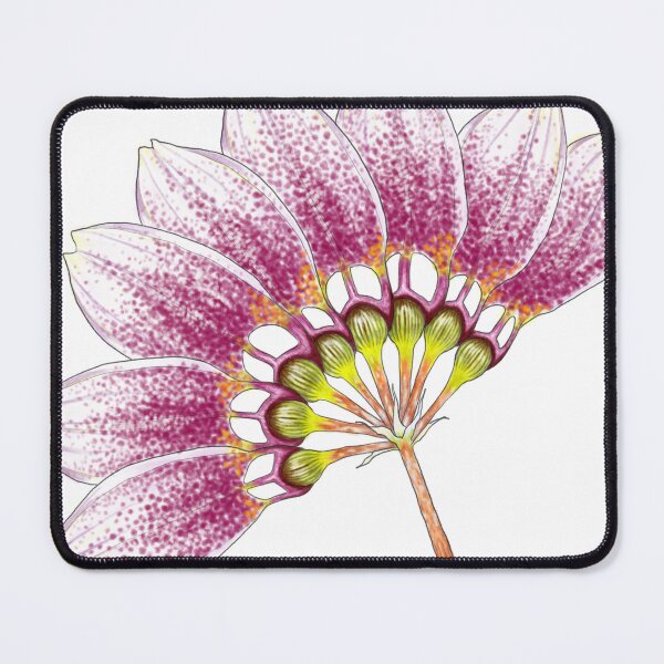 Item preview, Objects in Bloom: Bulbophyllum Orchid Fan designed and sold by E3-Creations.