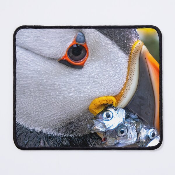 Item preview, Puffin with his catch designed and sold by deeve0.