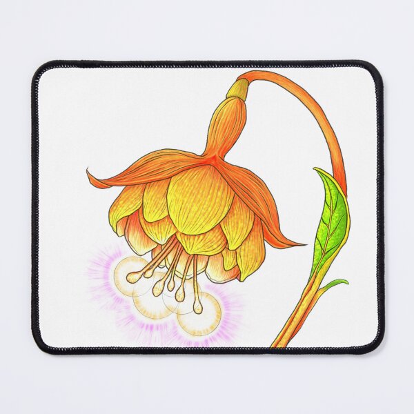 Item preview, Objects in Bloom: Fuchsia Golden Lamp designed and sold by E3-Creations.