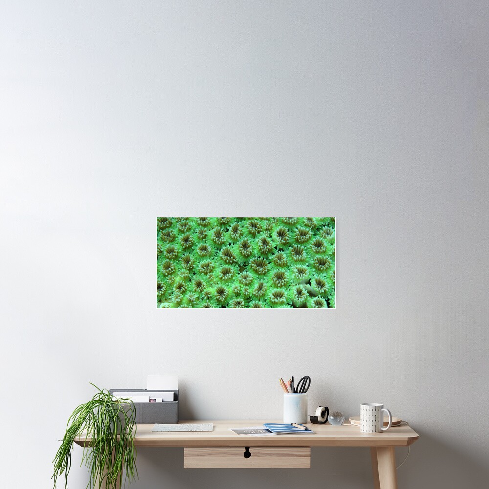 Green Galaxy Poster
