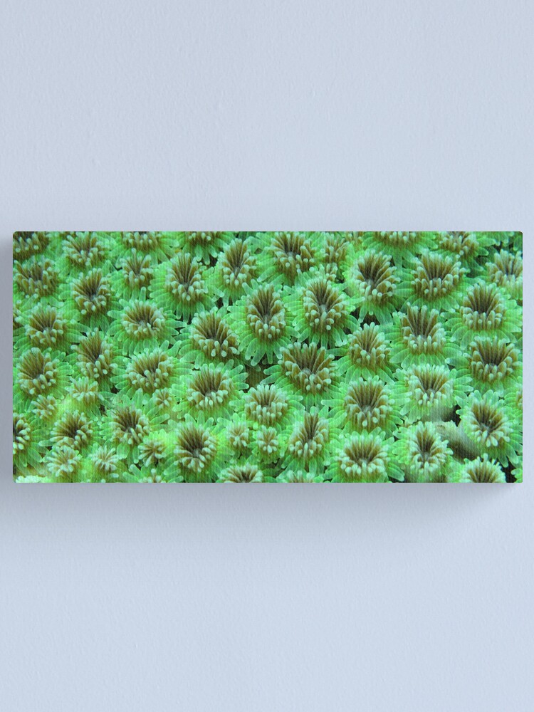 Alternate view of Green Galaxy Canvas Print