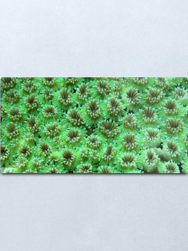 Alternate view of Green Galaxy Metal Print