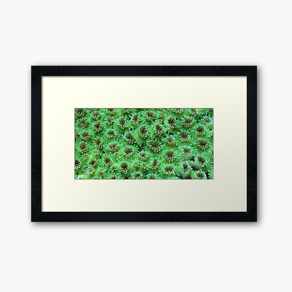Green Galaxy Framed Art Print