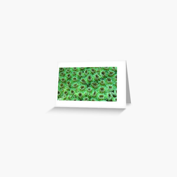 Green Galaxy Greeting Card