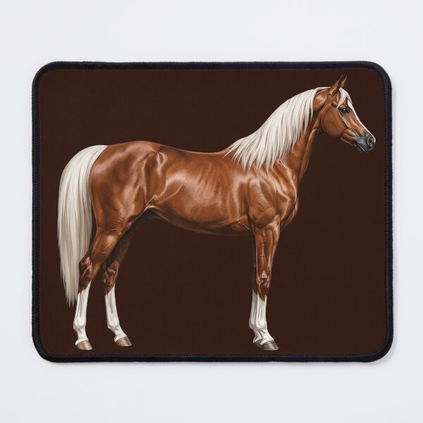 Item preview, The Abu' Ourquob horse, a lineage of the Arabian in Yemen designed and sold by Cheval-de-coeur.