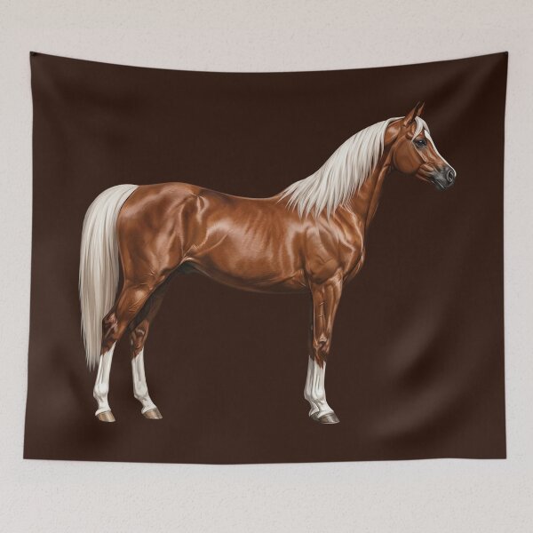 Item preview, The Abu' Ourquob horse, a lineage of the Arabian in Yemen designed and sold by Cheval-de-coeur.