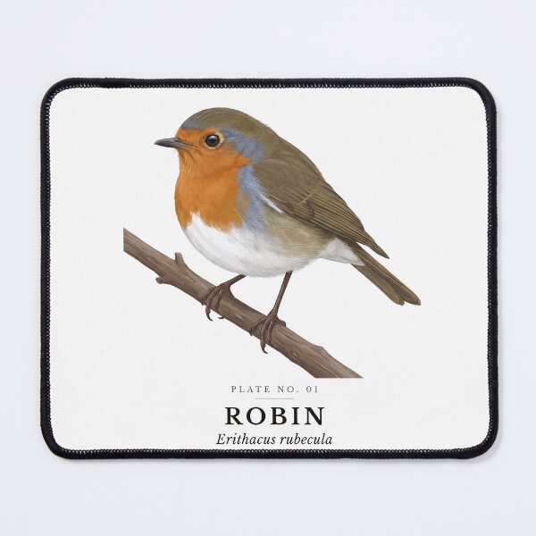 Item preview, Robin Vintage Bird Plate - Erithacus rubecula designed and sold by SavannahMerch.