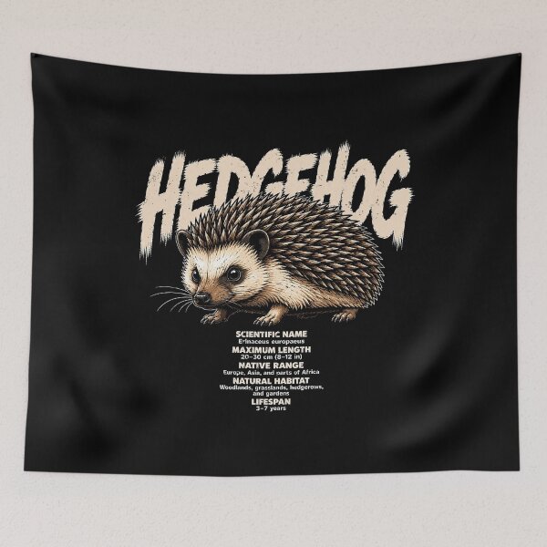 Item preview, Cute hedgehog illustration with informative details designed and sold by rafaeltto.