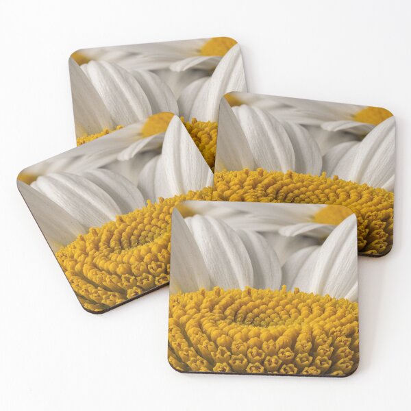 Item preview, Small Suns Gathered in Ivory designed and sold by ASSEMBLE WONDER.